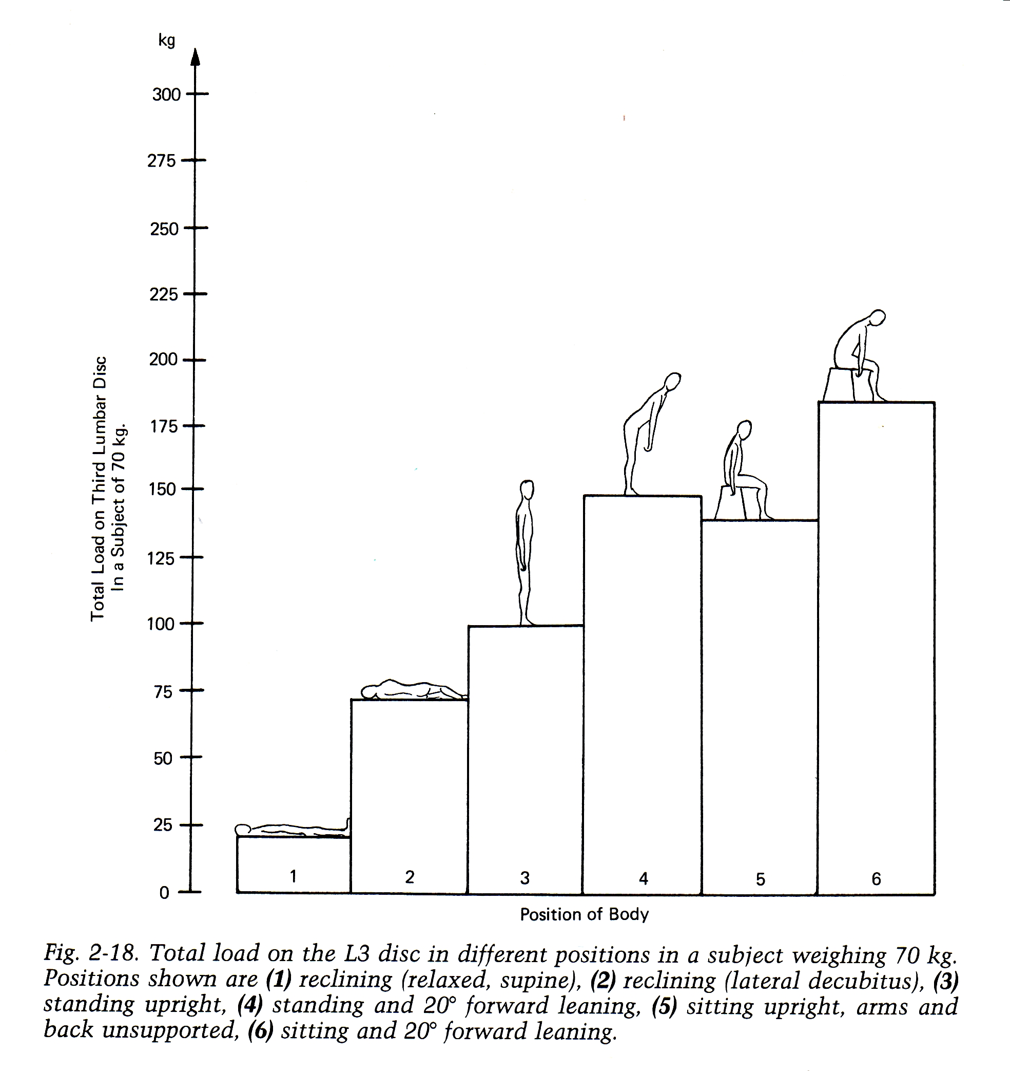 Load on L3 in Different Postures